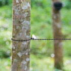 Cable trenzado y ganchos de acero inoxidable del tendedero