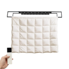 Tendedero Eléctrico de Ropa, 35 kg, 24 W, Lámpara LED, 6500 K, Rectangular, Montaje en Techo con Control Remoto 30-50 m, Negro