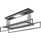Tendedero Eléctrico de Techo Retráctil, Control Remoto, 210kg, Iluminación Gris