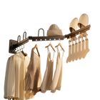 Tendedero de Ropa Retráctil Plegable de Pared